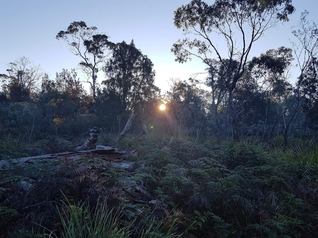 Gumleaves bush holidays | 219 Swanston Rd, Little Swanport TAS 7190, Australia | Phone: 0488 718 749