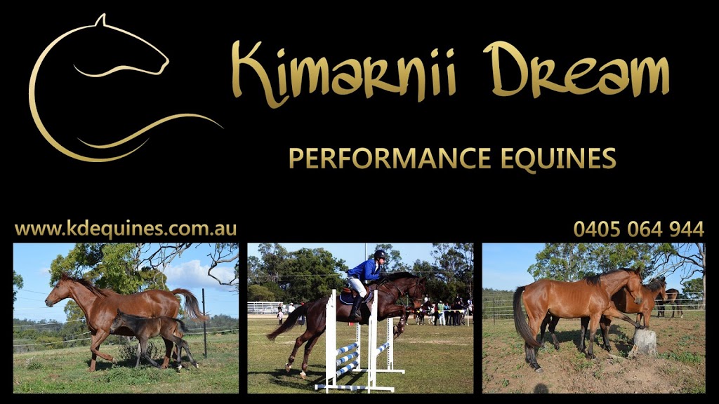 KD Performance Equines | 344 Coleyville Rd, Coleyville QLD 4307, Australia | Phone: 0405 064 944