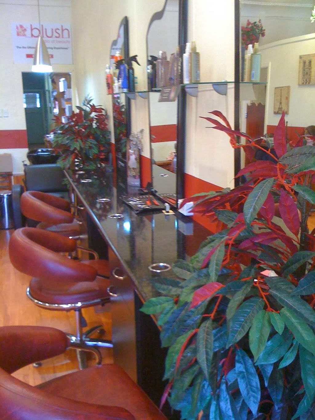 Excellence in Hair | hair care | 165-167 Argyle St, Picton NSW 2571, Australia | 0246771274 OR +61 2 4677 1274