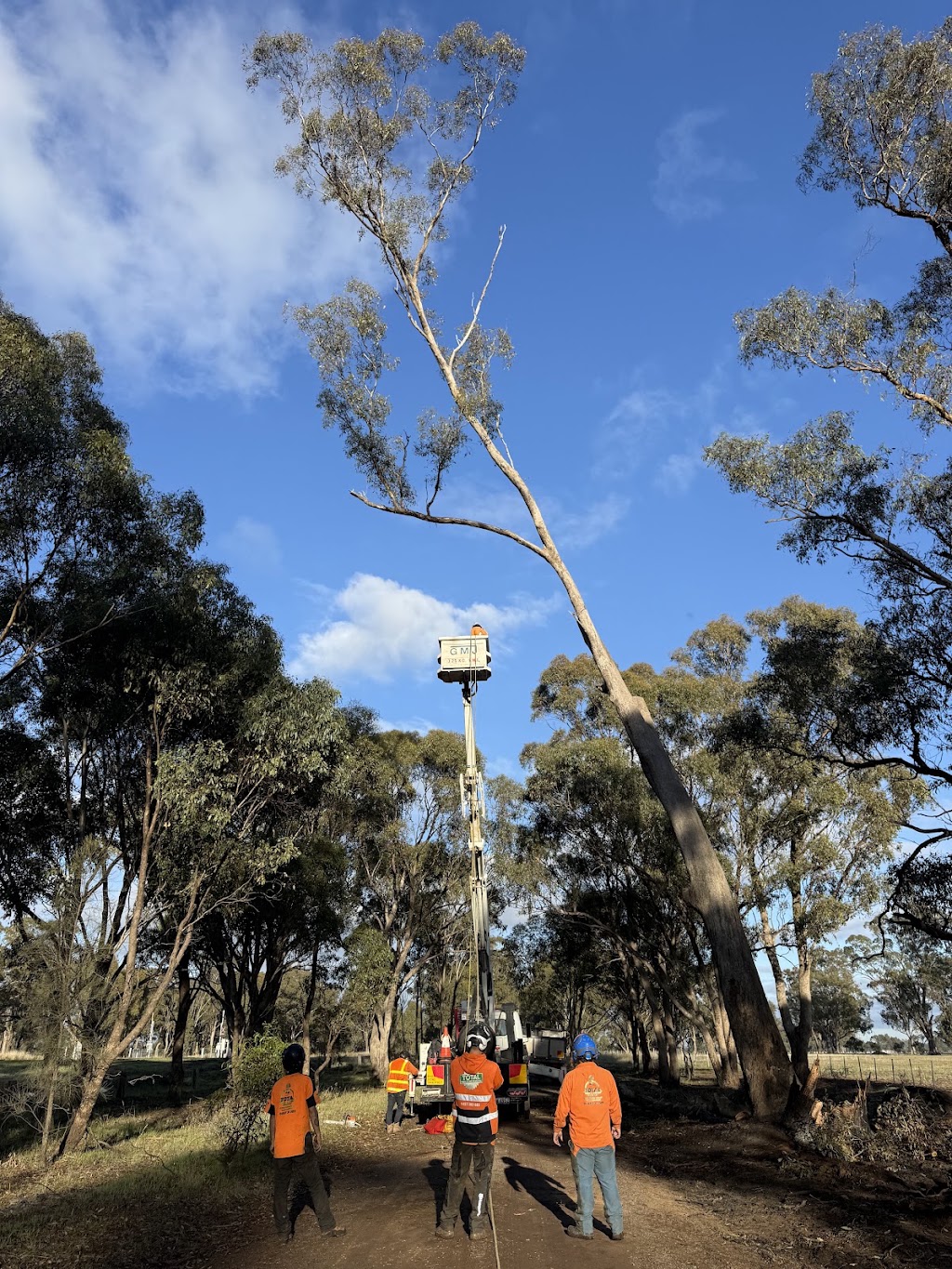 Carrick Trees & Contracting | 570 Stewart’s Rd, Tatura VIC 3616, Australia | Phone: 0457 283 085