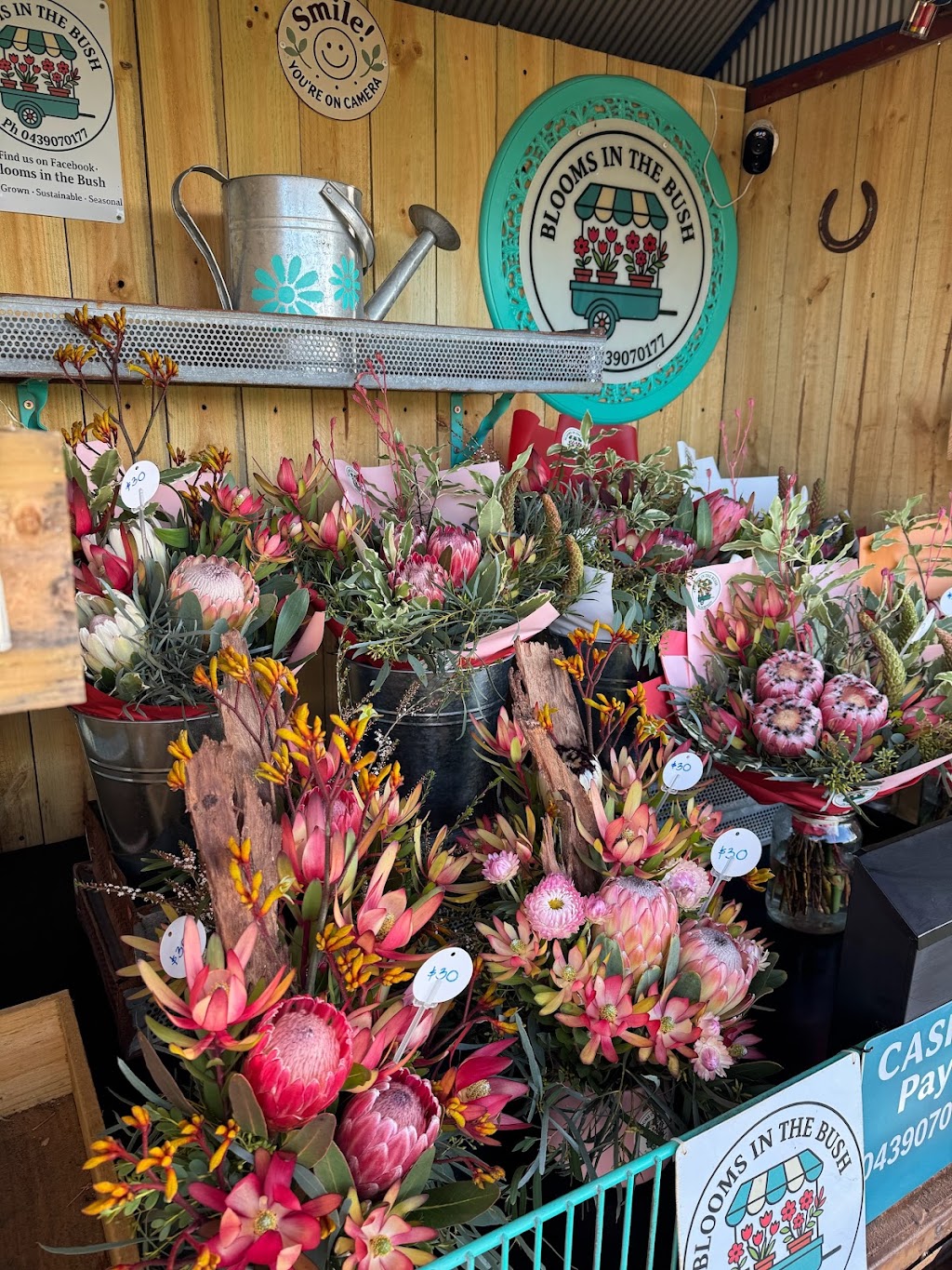 Blooms in the Bush | 405 Staughton Vale Rd, Staughton Vale VIC 3340, Australia | Phone: 0439 070 177