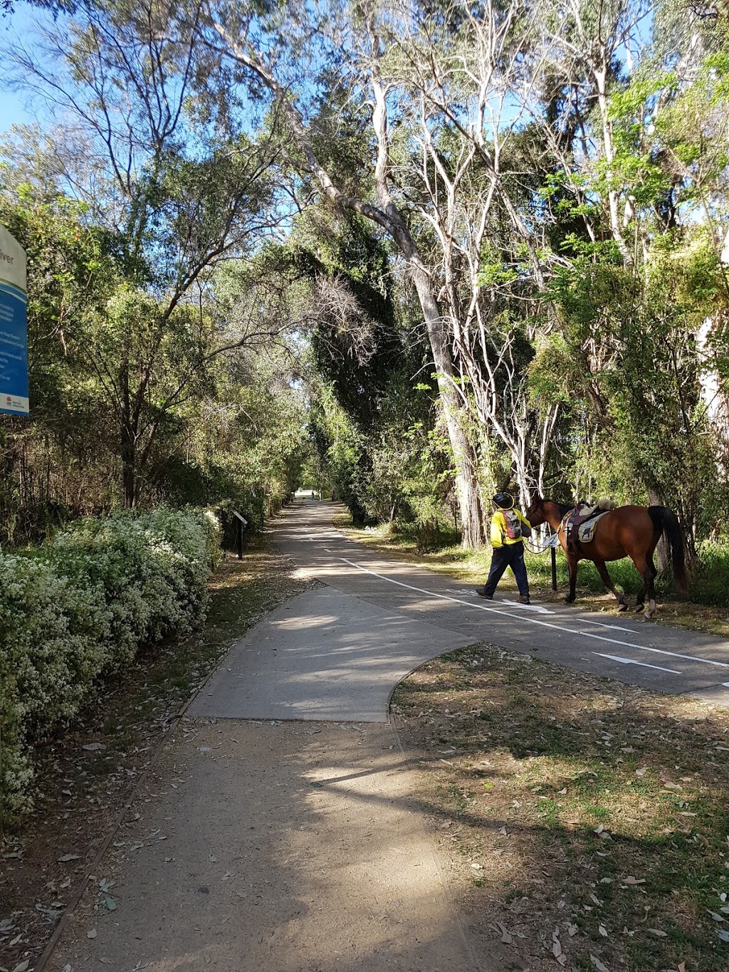 Belgenny Reserve | park | Belgenny Ave, Camden NSW 2570, Australia | 0246547777 OR +61 2 4654 7777