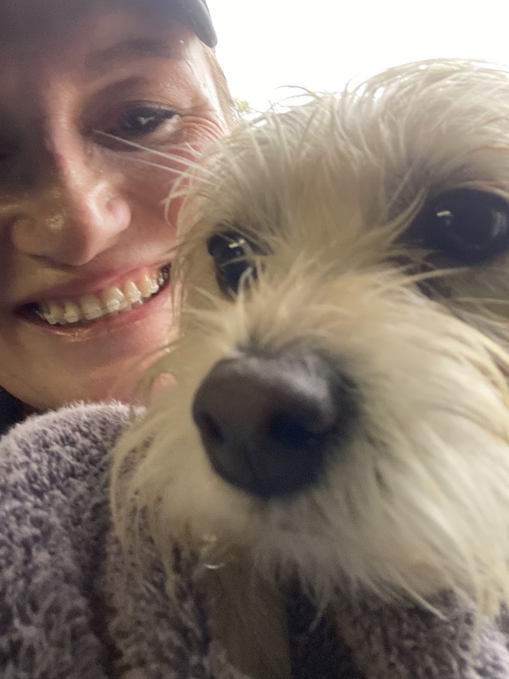 All Breeds | Shop 22/73 Meroo St, Bomaderry NSW 2541, Australia | Phone: 0458 302 831