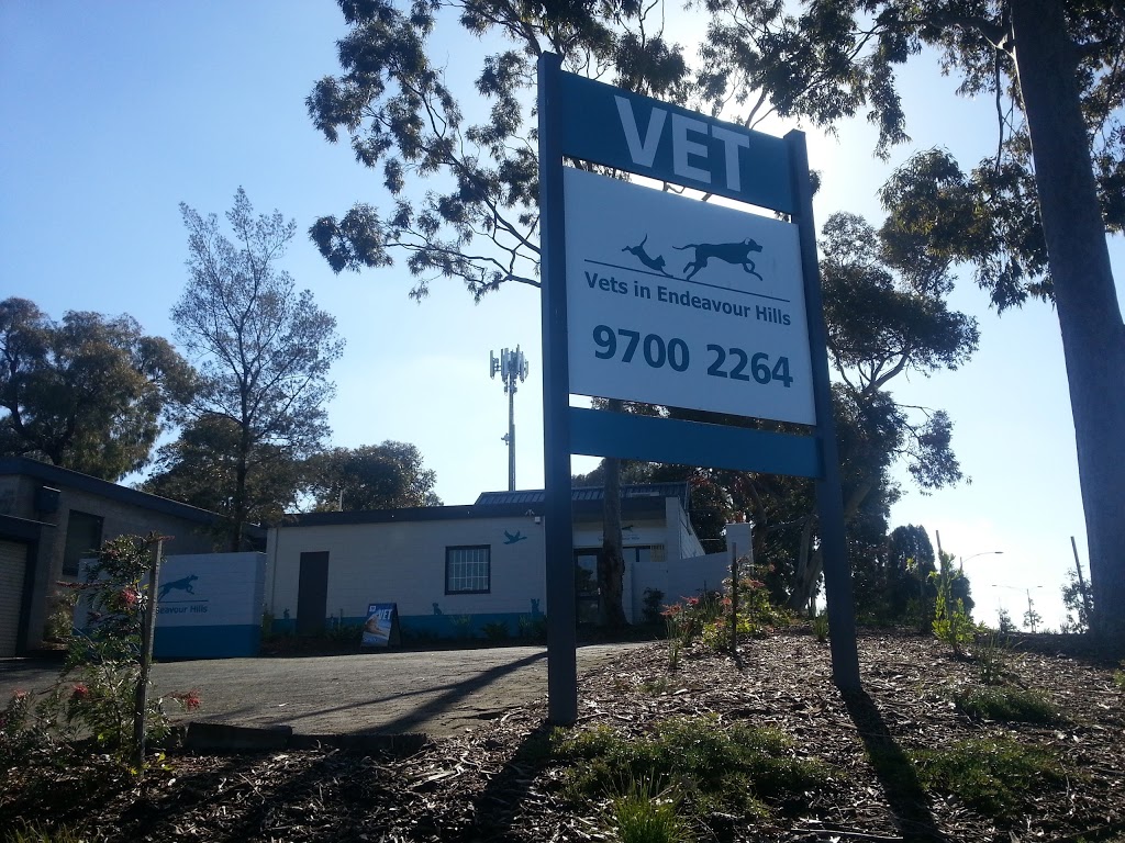 Vets in Endeavour Hills | 63 Monkhouse Dr, Endeavour Hills VIC 3802, Australia | Phone: (03) 9700 2264