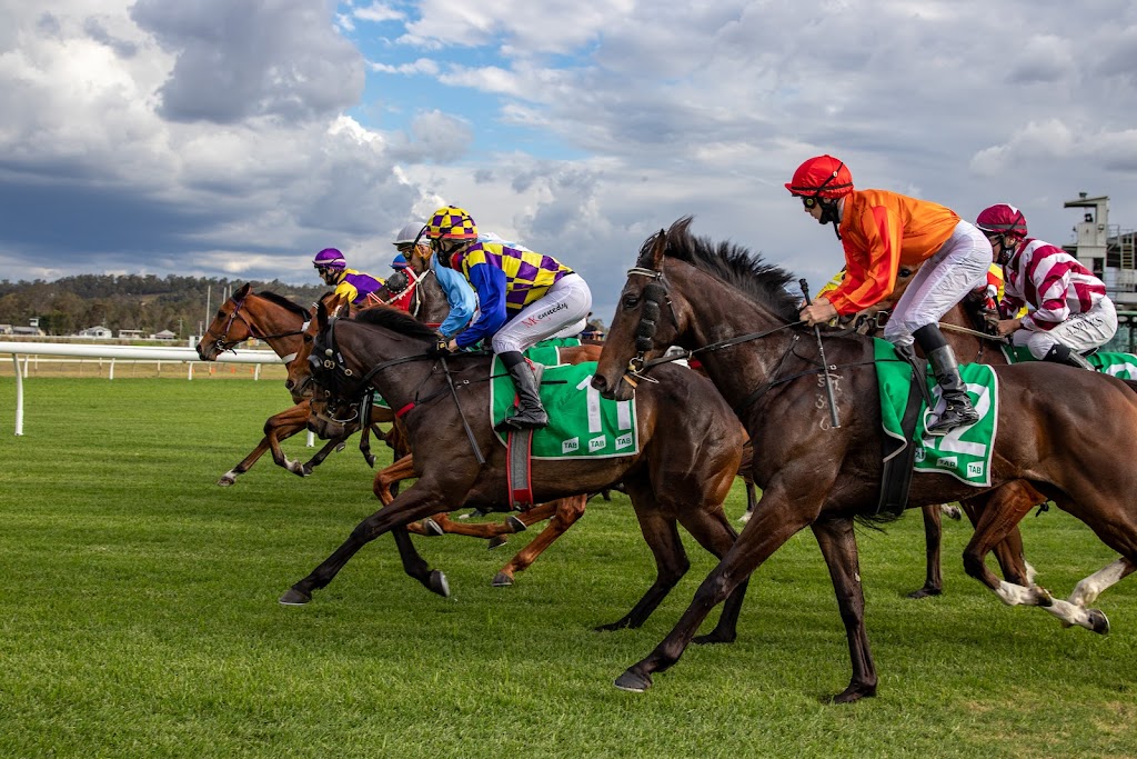 Ipswich Turf Club |  | 219 Brisbane Rd, Bundamba QLD 4304, Australia | 0732821500 OR +61 7 3282 1500