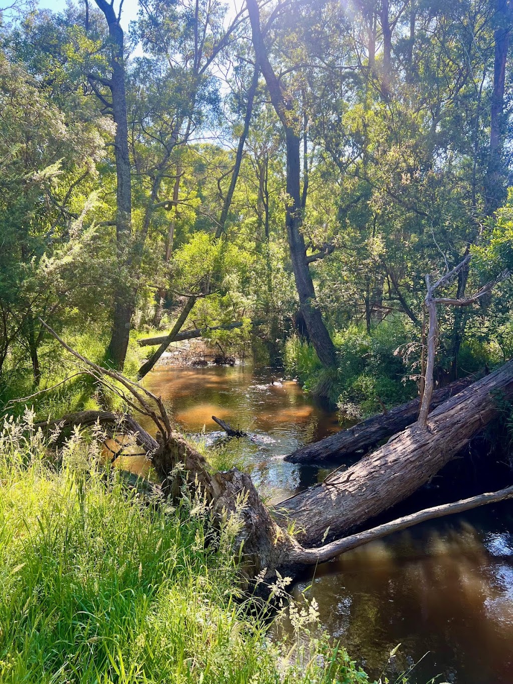 Yarra Valley Caravan Park | 160 Tarrango Rd, Yarra Junction VIC 3797, Australia | Phone: 0477 677 310