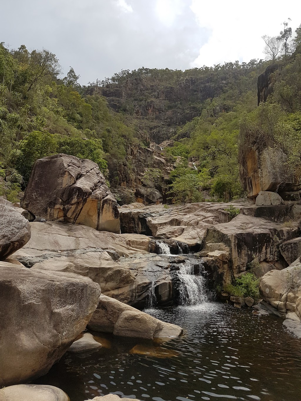 Paluma Range National Park | park | Crystal Creek QLD 4816, Australia | 137468 OR +61 137468