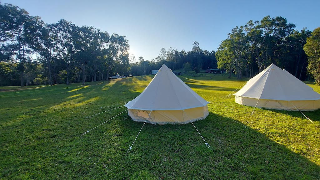 GingerNut Farm | 109 Atkins Rd, Cawongla NSW 2474, Australia | Phone: 0435 007 555