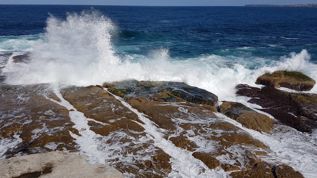 Ray OKeefe Reserve | North Bondi NSW 2026, Australia