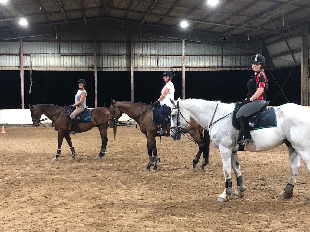 Dalson Park Indoor Equestrian Centre | 63 Nujooloo Rd, Slacks Creek QLD 4127, Australia | Phone: 0448 034 514