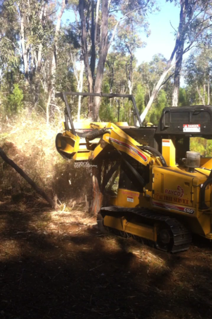 A1 Tree Service NSW Pty Ltd | 7L Gilgandra Rd, Dubbo NSW 2830, Australia | Phone: (02) 6882 2052