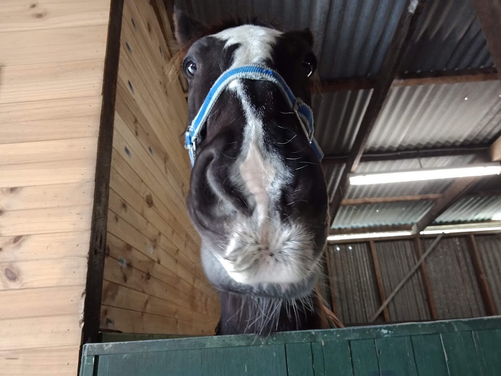 Peppercorn Equestrian Centre | 230 Oaklands Rd, Oaklands Junction VIC 3063, Australia | Phone: 0418 374 321