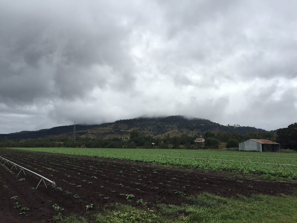 Tenthill Baptist Church | 979 Tenthill Creek Rd, Upper Tenthill QLD 4343, Australia | Phone: (07) 5462 7380