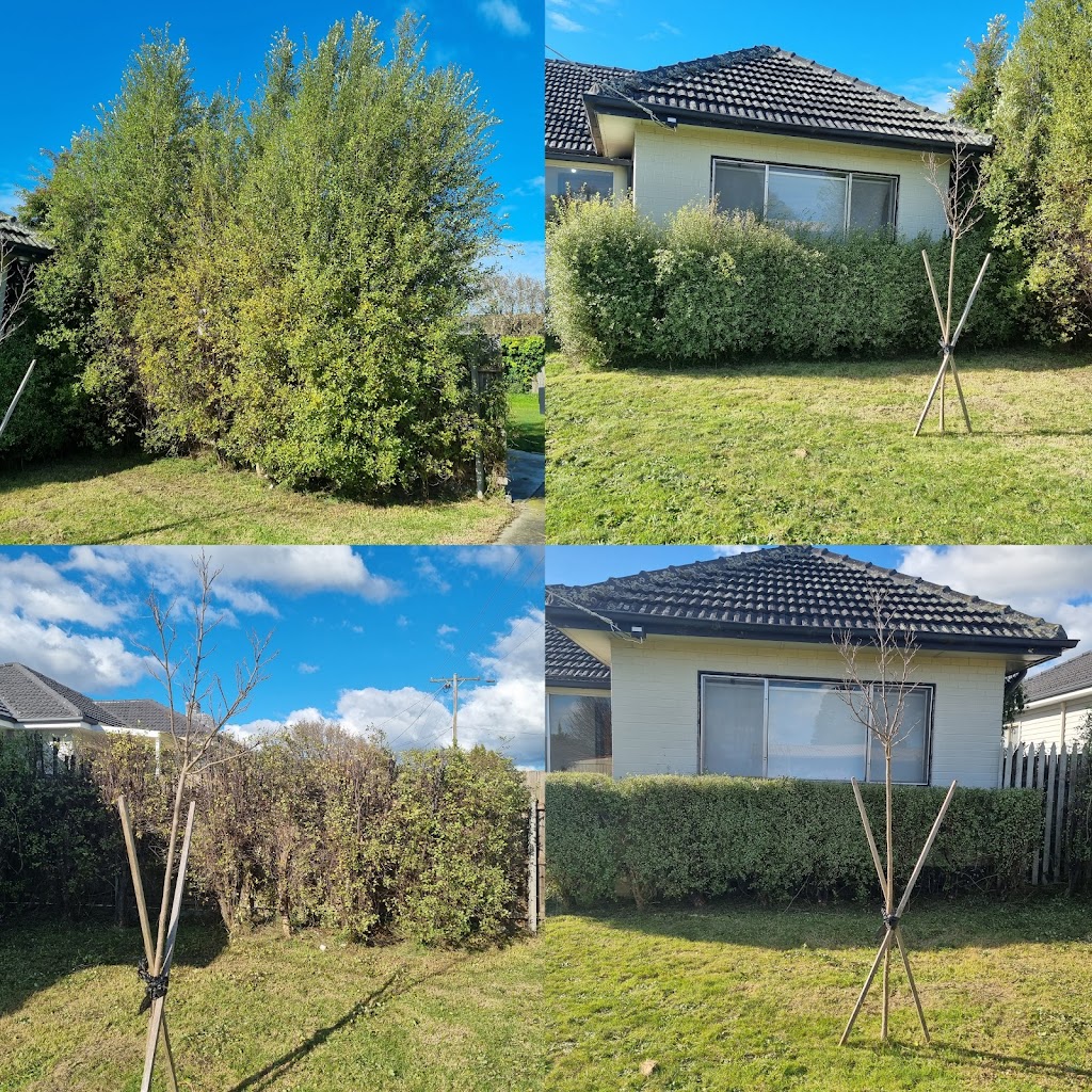 Girl power property services | Victoria St, Moe VIC 3825, Australia | Phone: 0435 033 721