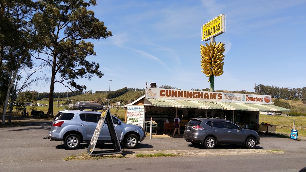 Cunninghams Bananas | 393 Pacific Hwy, Coffs Harbour NSW 2450, Australia | Phone: (02) 6652 1033