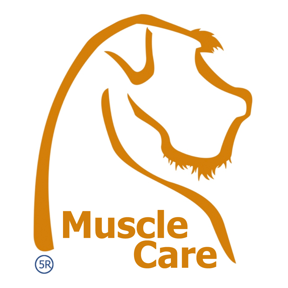 Dog Muscle Care |  | 104 Barsby Rd, Imbil QLD 4570, Australia | 0411272537 OR +61 411 272 537