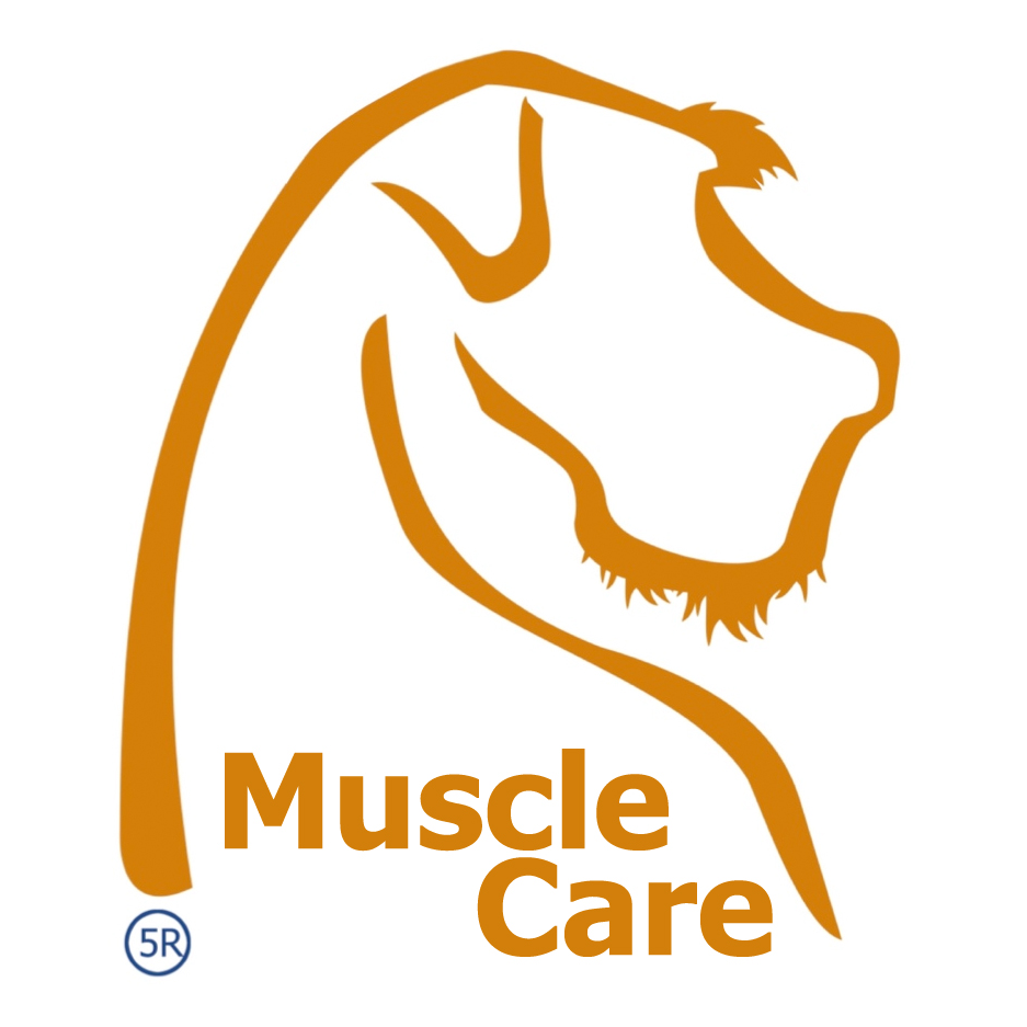 Dog Muscle Care | 104 Barsby Rd, Imbil QLD 4570, Australia | Phone: 0411 272 537