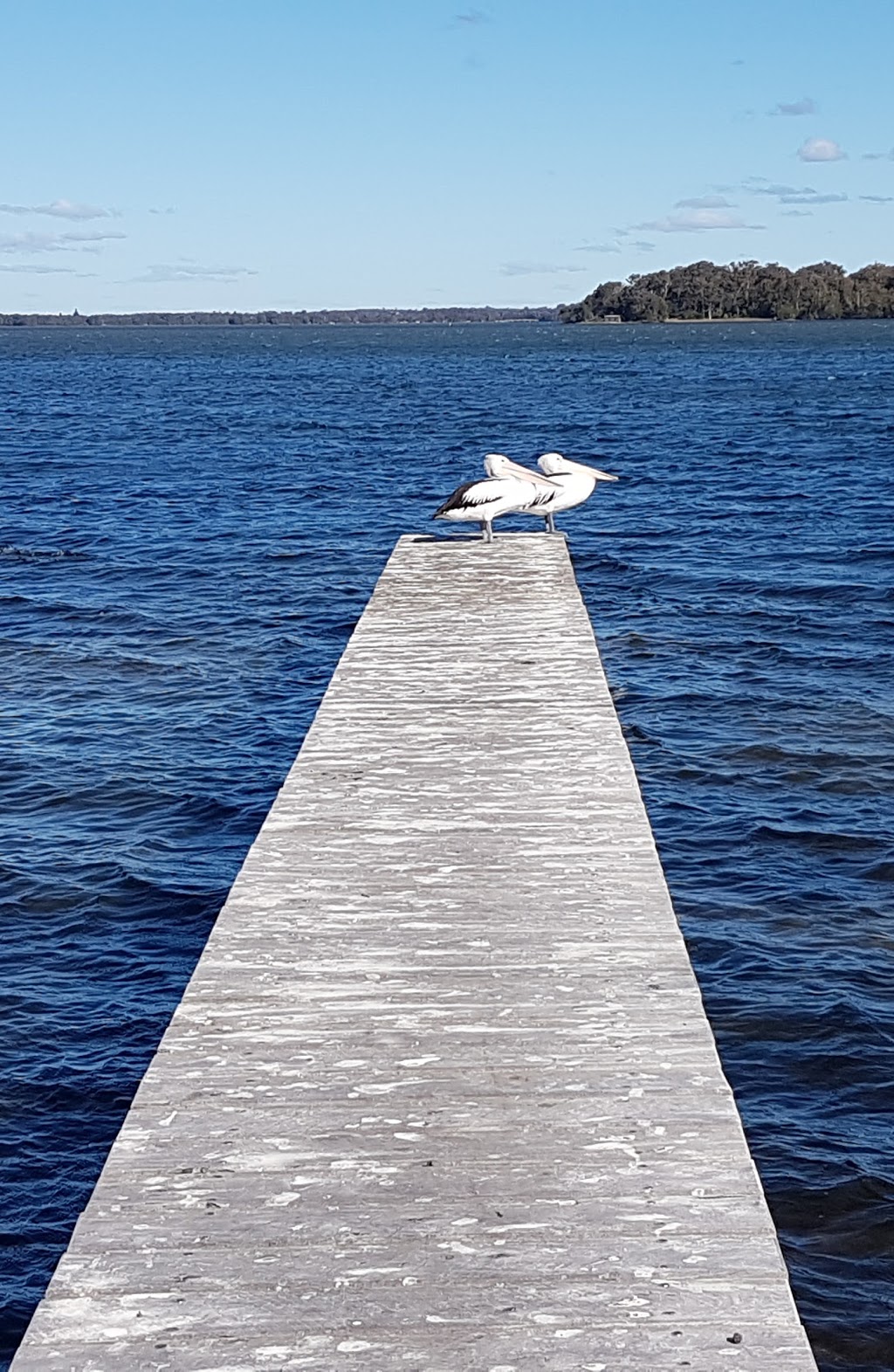 Colongra Bay Reserve | park | 2 Colongra Bay Rd, Lake Munmorah NSW 2259, Australia