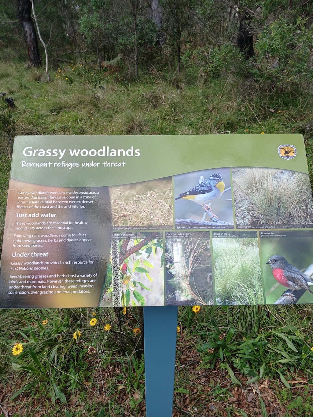 Upper Falls loop walk | Ebor Walking Track, Ebor NSW 2453, Australia | Phone: 1300 072 757