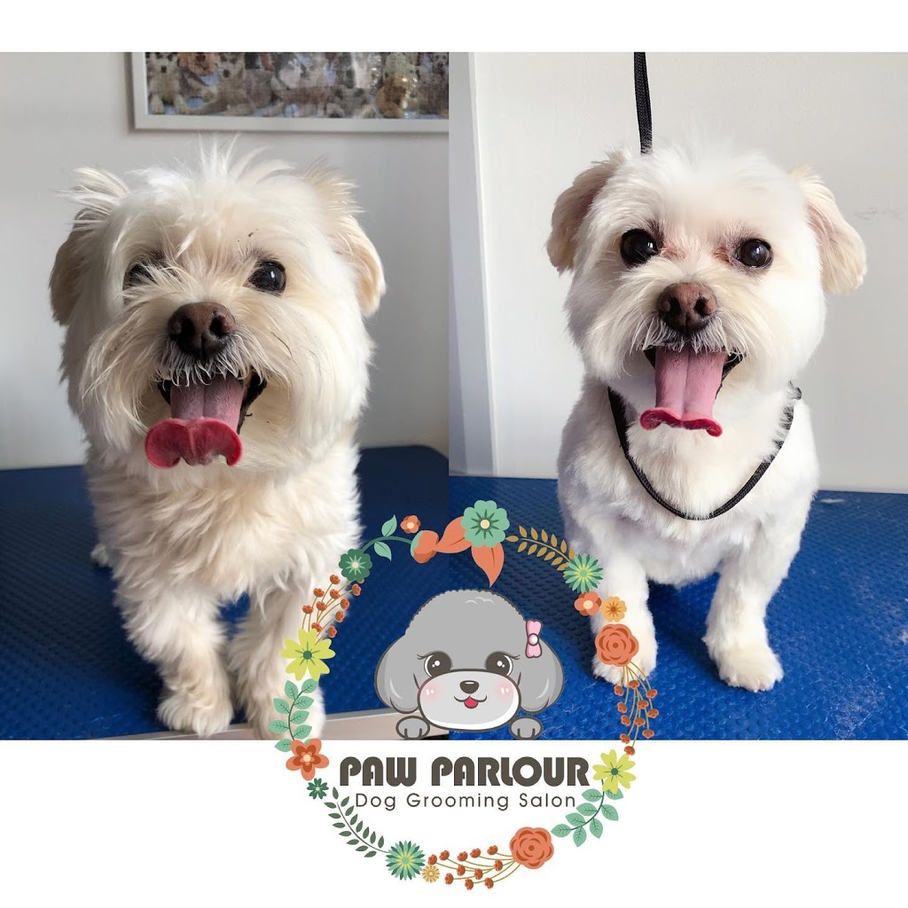 Paw Parlour Dog Grooming Salon | 107 Ayr St, Doncaster VIC 3108, Australia | Phone: 0432 118 960