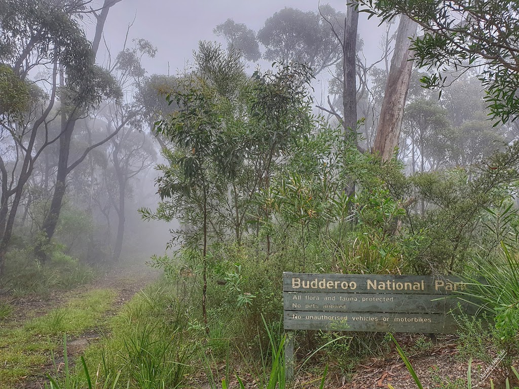 Budderoo National Park | park | Minnamurra Falls Rd, Jamberoo NSW 2533, Australia | 0242360469 OR +61 2 4236 0469