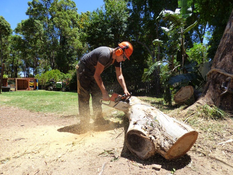 JMC Tree Services |  | Bedfordale WA 6112, Australia | 0409118912 OR +61 409 118 912