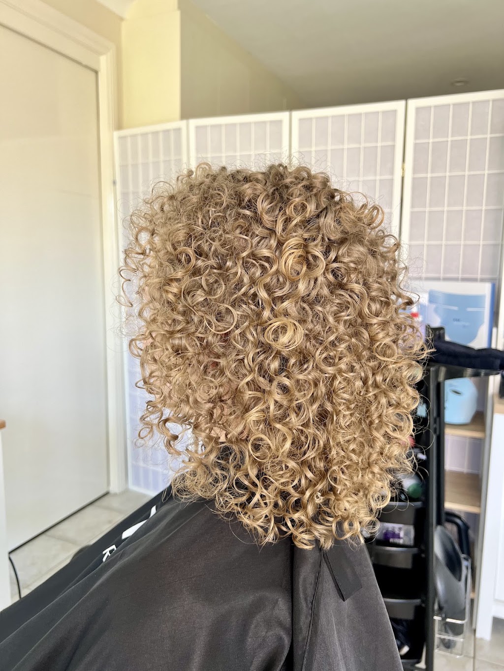 Stay Wild Hair & Beauty | 18 Rutherglen Ave, Hobartville NSW 2753, Australia | Phone: (02) 4572 8536
