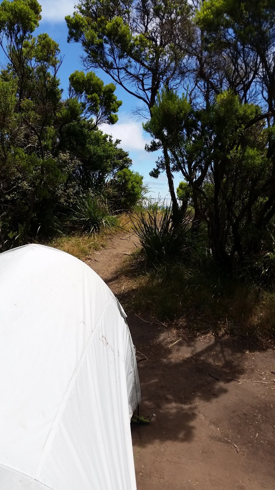 Devils Kitchen GOW Campground | campground | Gellibrand Lower VIC 3237, Australia