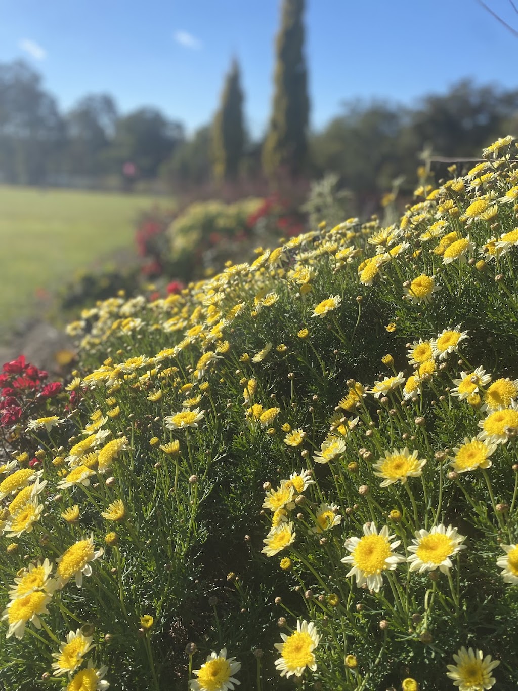 CMB Creative Gardens | 3 Mackeys Ln, Robertson NSW 2577, Australia | Phone: 0401 949 878