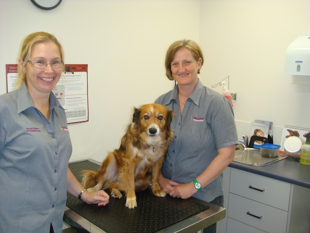 Westbrook Veterinary Surgery | veterinary care | 1/85 Main St, Westbrook QLD 4350, Australia | 0746306633 OR +61 7 4630 6633