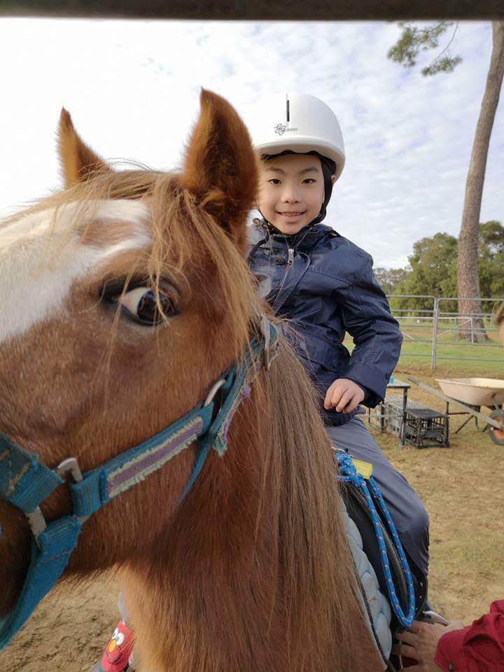 The Humble Horse |  | N Jindong Rd, Metricup WA 6280, Australia | 0434905675 OR +61 434 905 675