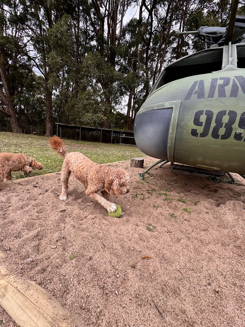 Rocky Ridge Pet Resort | 3 Jones Rd, Calga NSW 2250, Australia | Phone: 0435 764 422