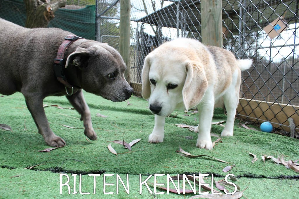 Rilten Kennels | veterinary care | 80-94 Ashley Rd, Yarrambat VIC 3091, Australia | 0394361494 OR +61 3 9436 1494