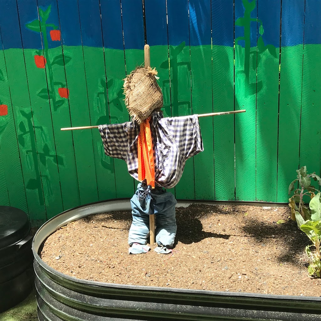 Seeds Early Learning Centre | 359 Chatswood Rd, Shailer Park QLD 4128, Australia | Phone: (07) 3801 4666