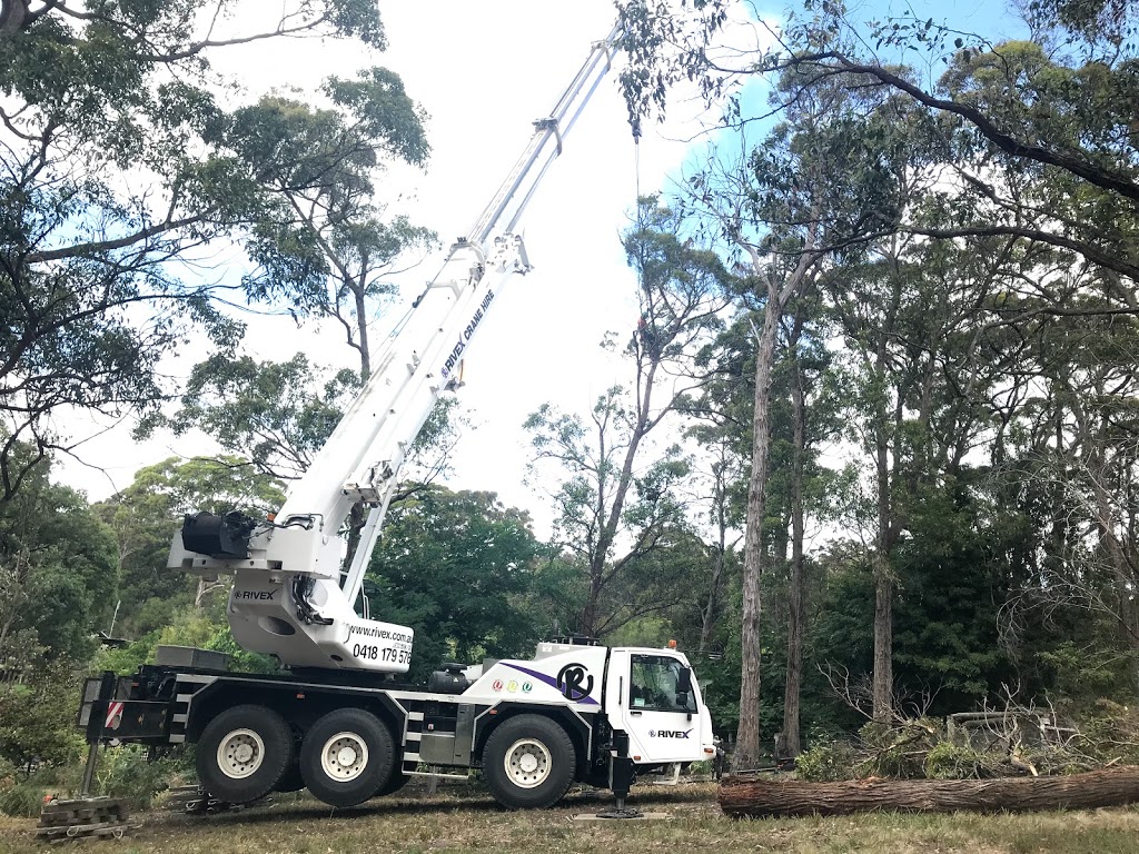 Roots 2 Leaves Tree Services Pty Ltd | general contractor | Old Orbost Rd, Swan Reach VIC 3909, Australia | 0409506958 OR +61 409 506 958