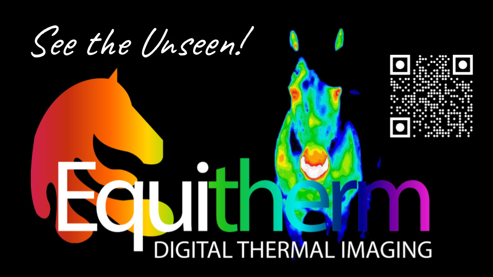 Equitherm Thermal Imaging | 10 Racecourse Rd, Ascot VIC 3551, Australia | Phone: 0432 759 896