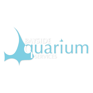 Bayside Aquarium Services | aquarium | 11 Florida Ave, Beaumaris VIC 3193, Australia | 0401095900 OR +61 401 095 900