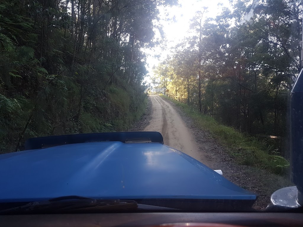 Georges Creek Nature Reserve | Jeogla NSW 2350, Australia