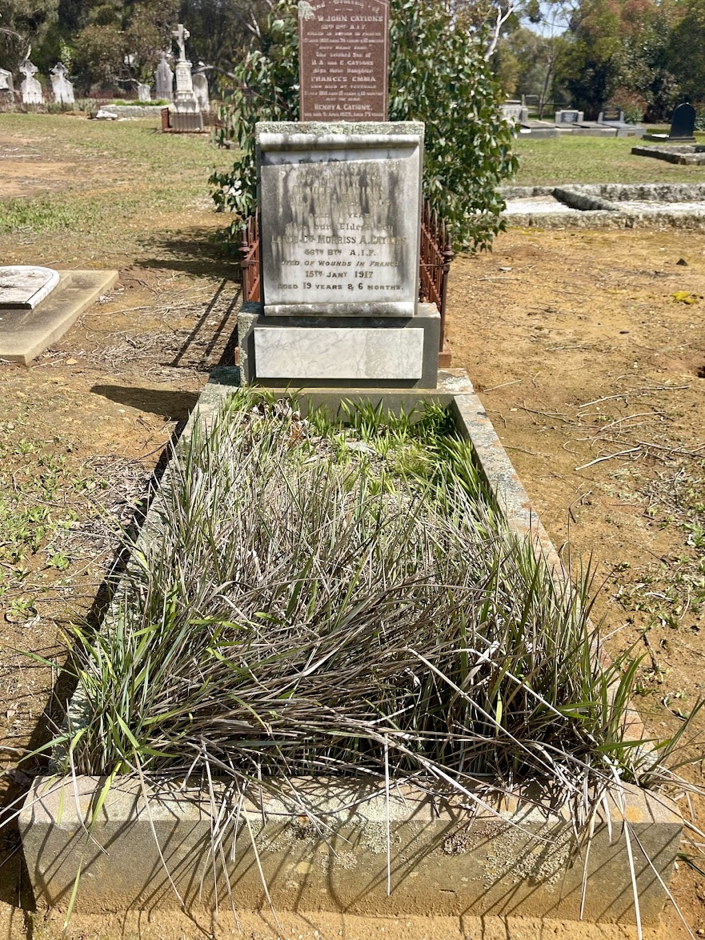 Teesdale Cemetery | Teesdale Cemetery, 5 Squires Rd, Teesdale VIC 3328, Australia | Phone: 0417 566 288