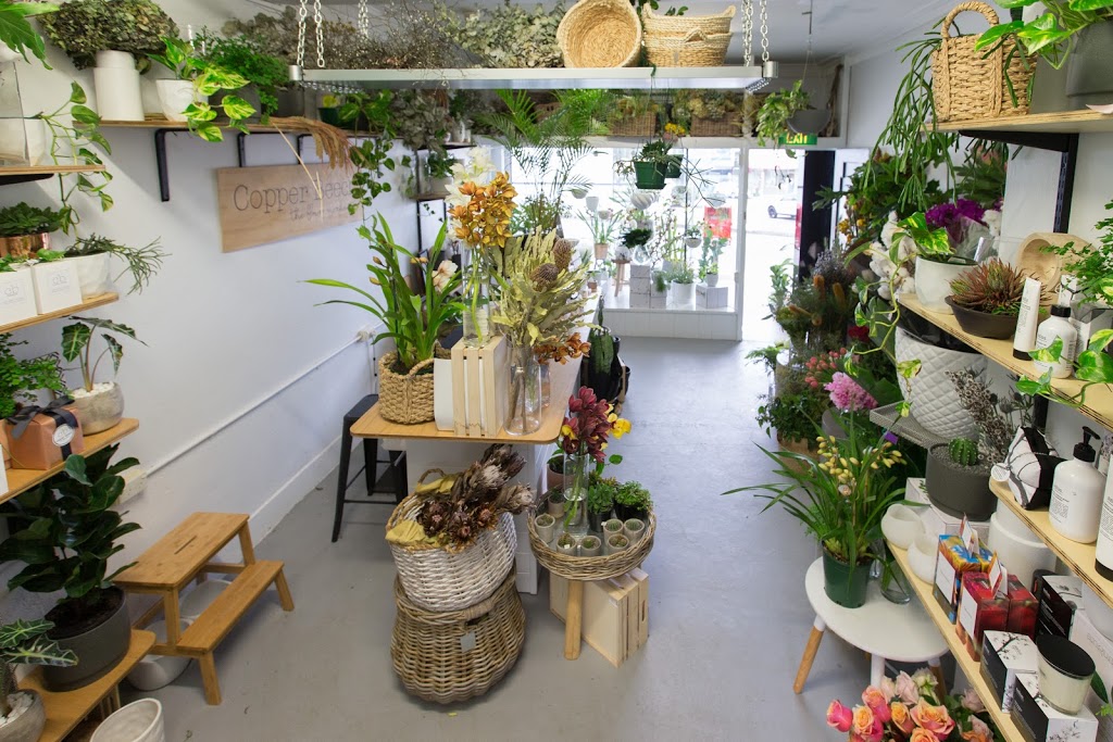 Copper Beech, The Flower Merchant | 70 Wanganella St, Balgowlah NSW 2093, Australia | Phone: (02) 8964 1751