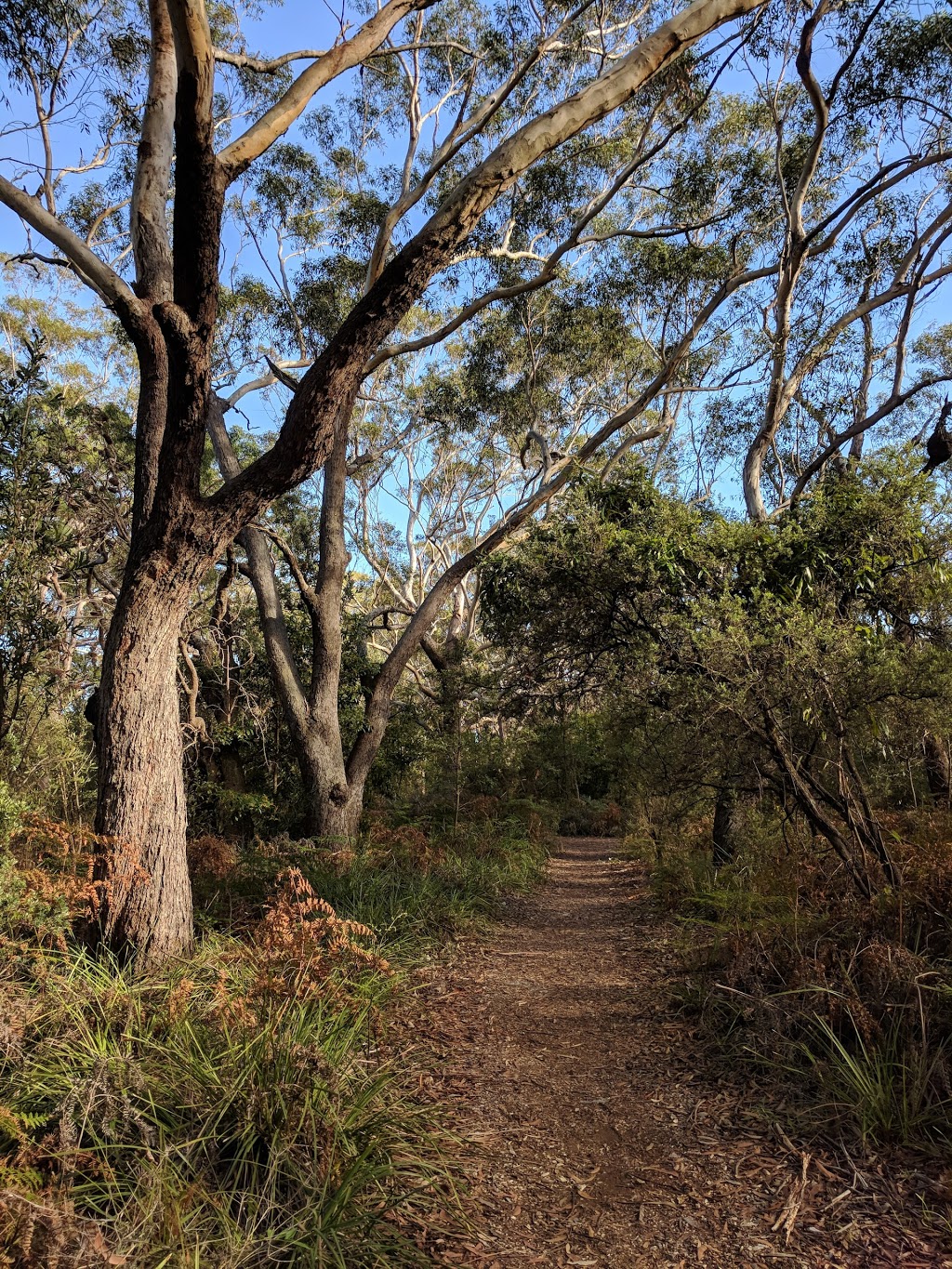 Anzac Park | 2A Shoal Bay Rd, Shoal Bay NSW 2315, Australia