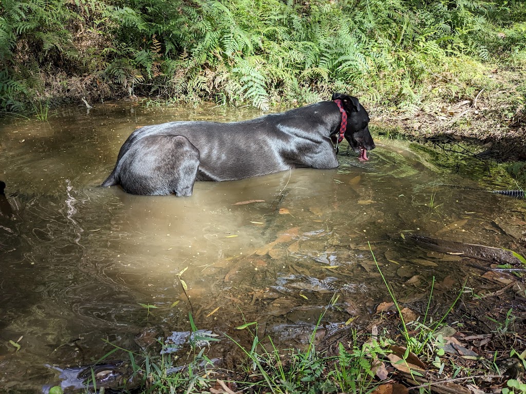 Sunnybank Therapies | 16 Chittaway Rd, Ourimbah NSW 2258, Australia | Phone: 0435 370 817