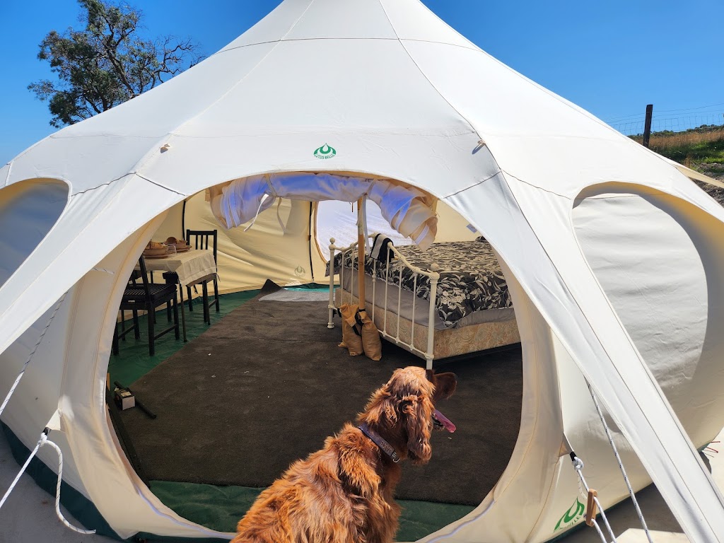 Woori Yallock Therapy Farm | 205 Owens Rd, Woori Yallock VIC 3139, Australia | Phone: 0411 271 418