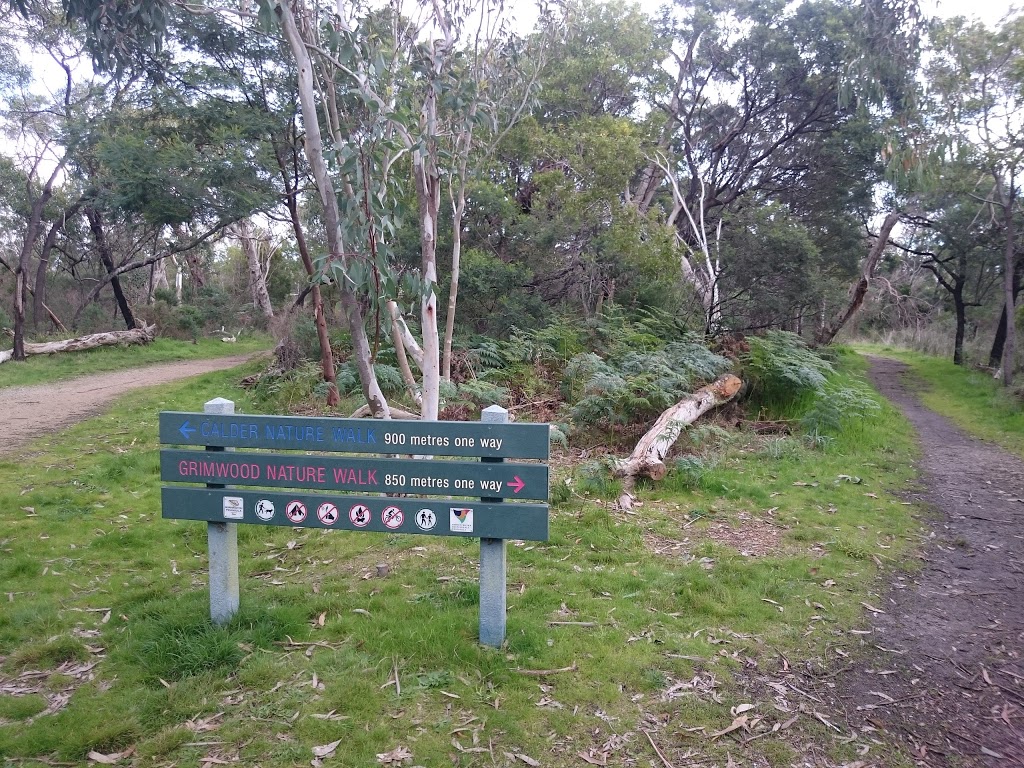 Conifers Picnic Ground | park | 91 Park Rd, Mount Martha VIC 3934, Australia