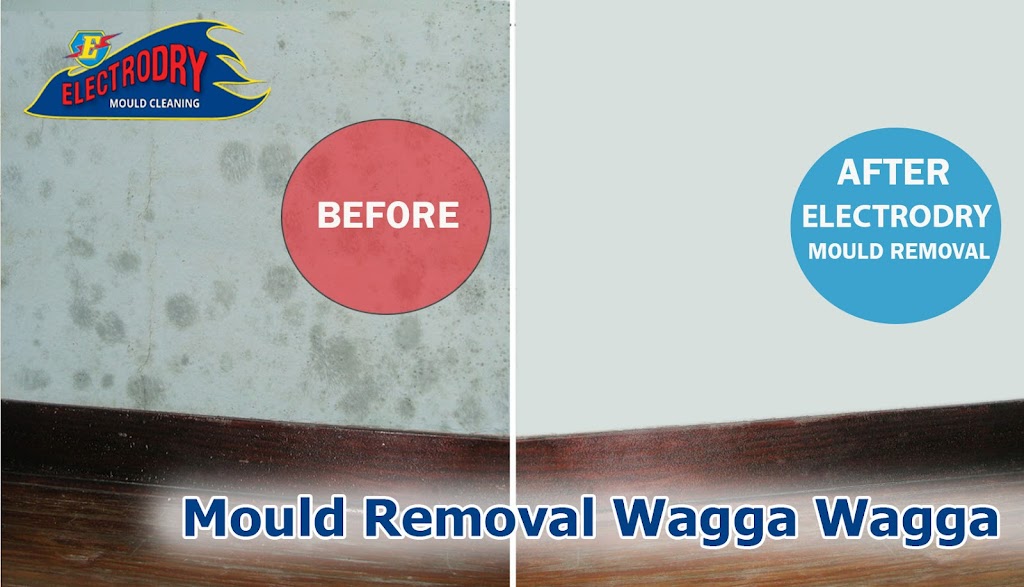 Electrodry Mould Removal Wagga Wagga | car dealer | 115 Hammond Ave, East Wagga Wagga NSW 2650, Australia | 1300132713 OR +61 1300 132 713