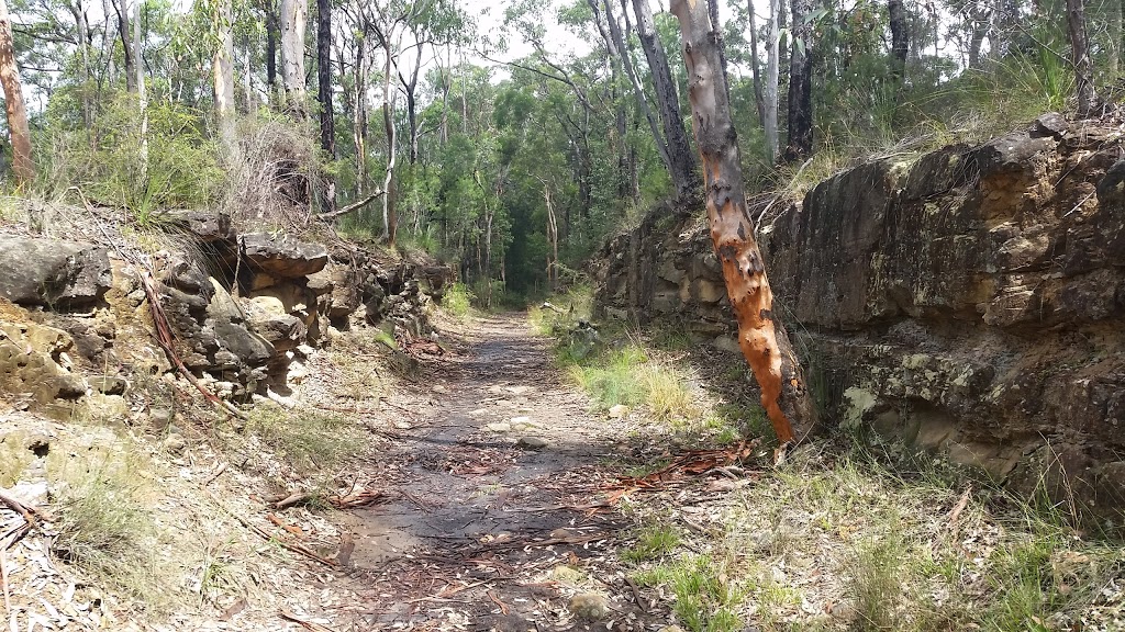 Darks Common | Lapstone NSW 2773, Australia