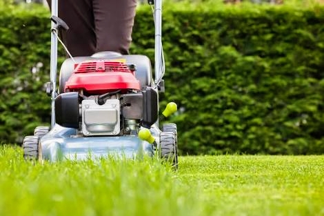 Lawn & Garden Care | 1River, Gum court, Loganholme QLD 4129, Australia | Phone: 0423 088 410