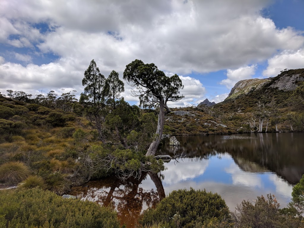 Cradle Mountain-Lake St Clair National Park | park | Tasmania, Australia | 0362891172 OR +61 3 6289 1172