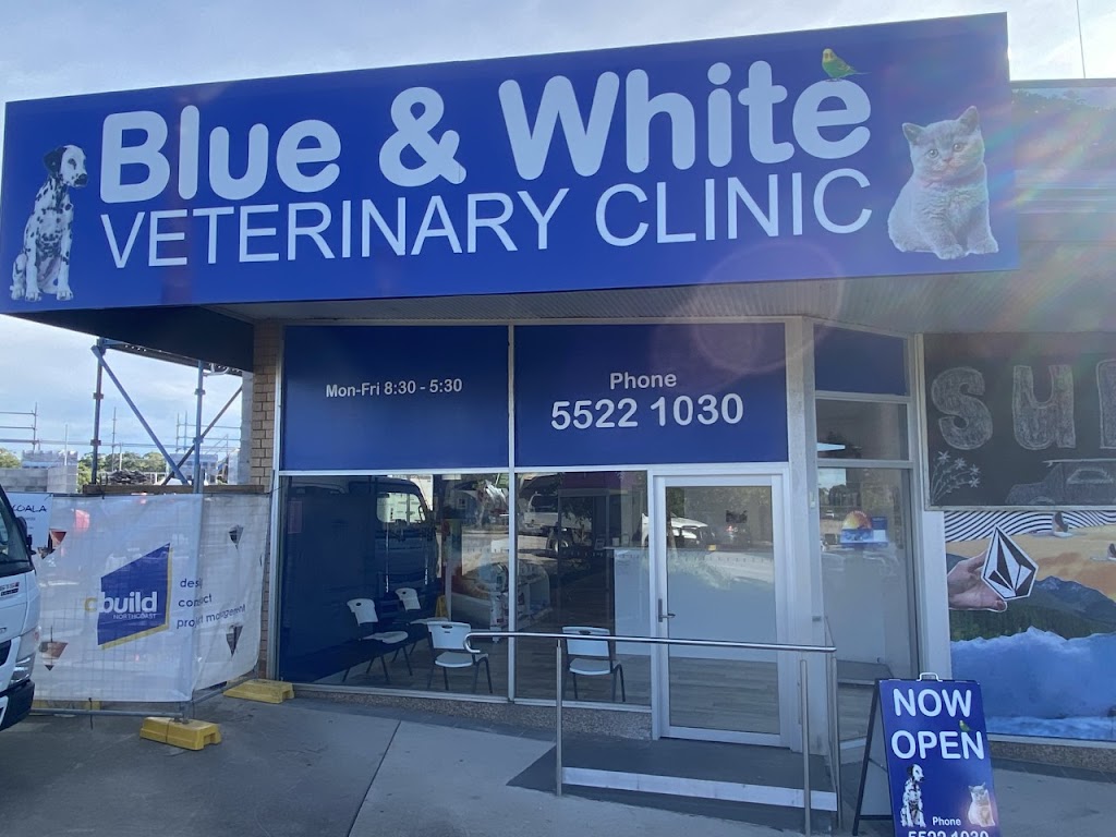 Blue & White Veterinary Clinic Nambucca Heads | veterinary care | 1/42 Bowra St, Nambucca Heads NSW 2448, Australia | 0255221030 OR +61 2 5522 1030