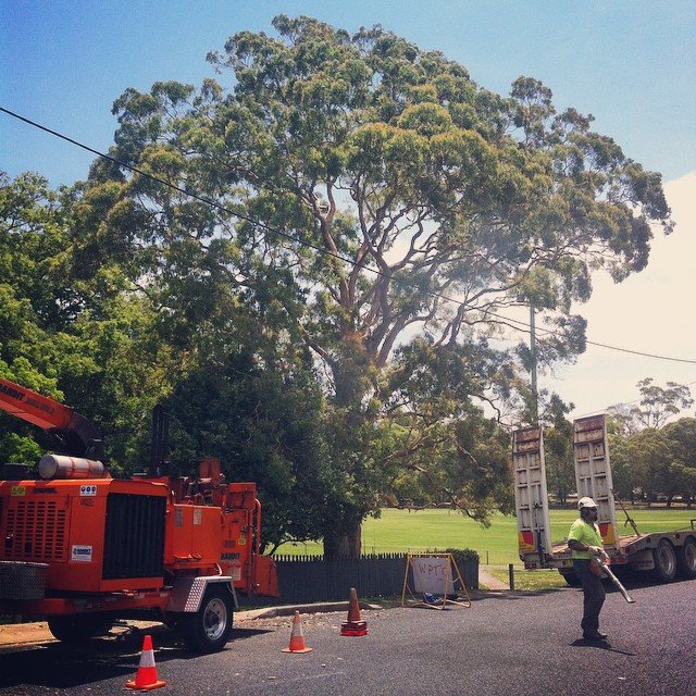 Horizon Total Tree Service |  | 80 Forest Parade, Tomakin NSW 2537, Australia | 0488585563 OR +61 488 585 563